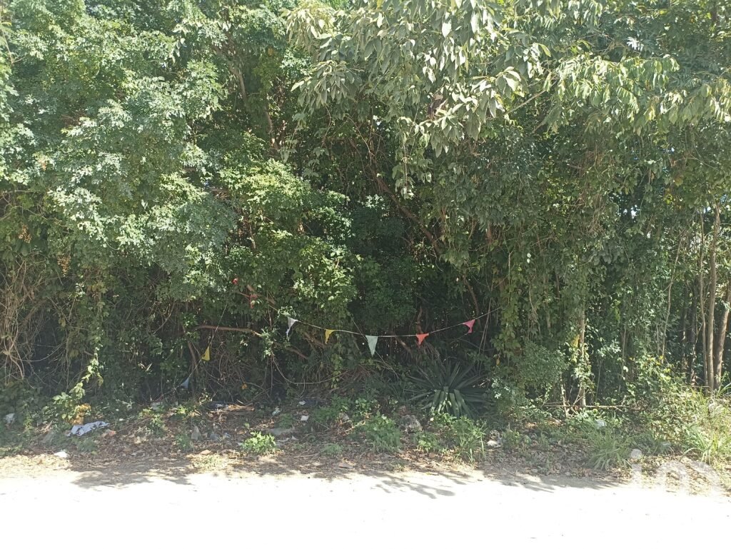 Terreno en Renta en Cancún, con uso de suelo mixto sobre Av. Fonatur