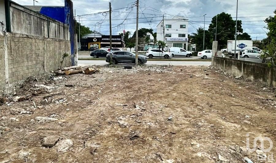 TERRENO EN RENTA EN PUERTO MORELOS - AVENIDA PRINCIPAL