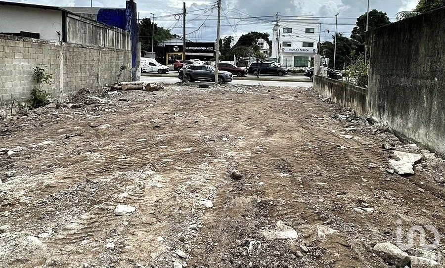 TERRENO EN RENTA EN PUERTO MORELOS - AVENIDA PRINCIPAL