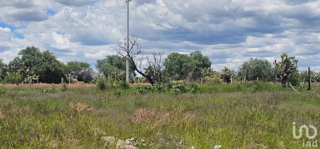 Venta de Terreno Campestre Fraccionamiento Quintas Diamante en el  "Municipio El LLano"