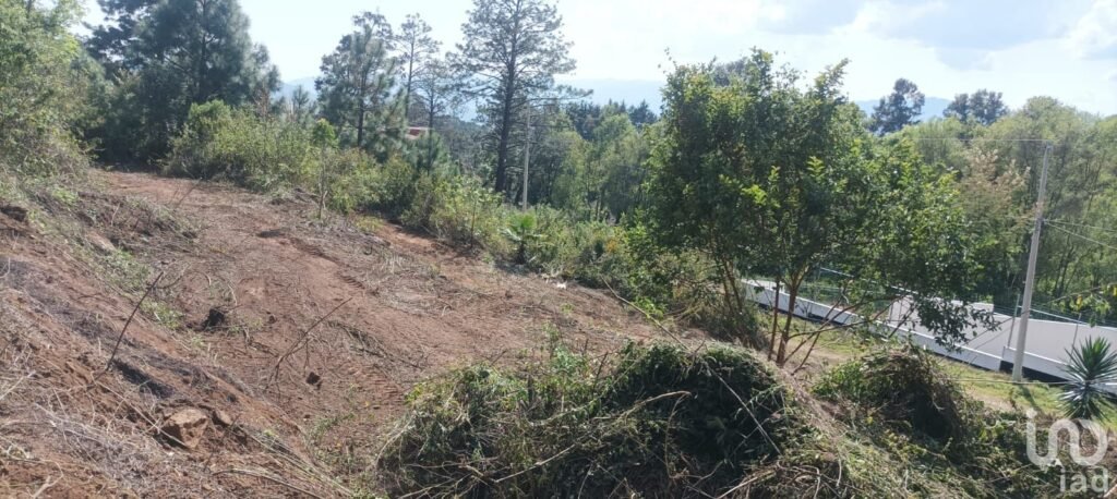 SE VENDE TERRENO CON ESCRITURAS EN FRACC LOS MADROÑOS CHARO MICH.