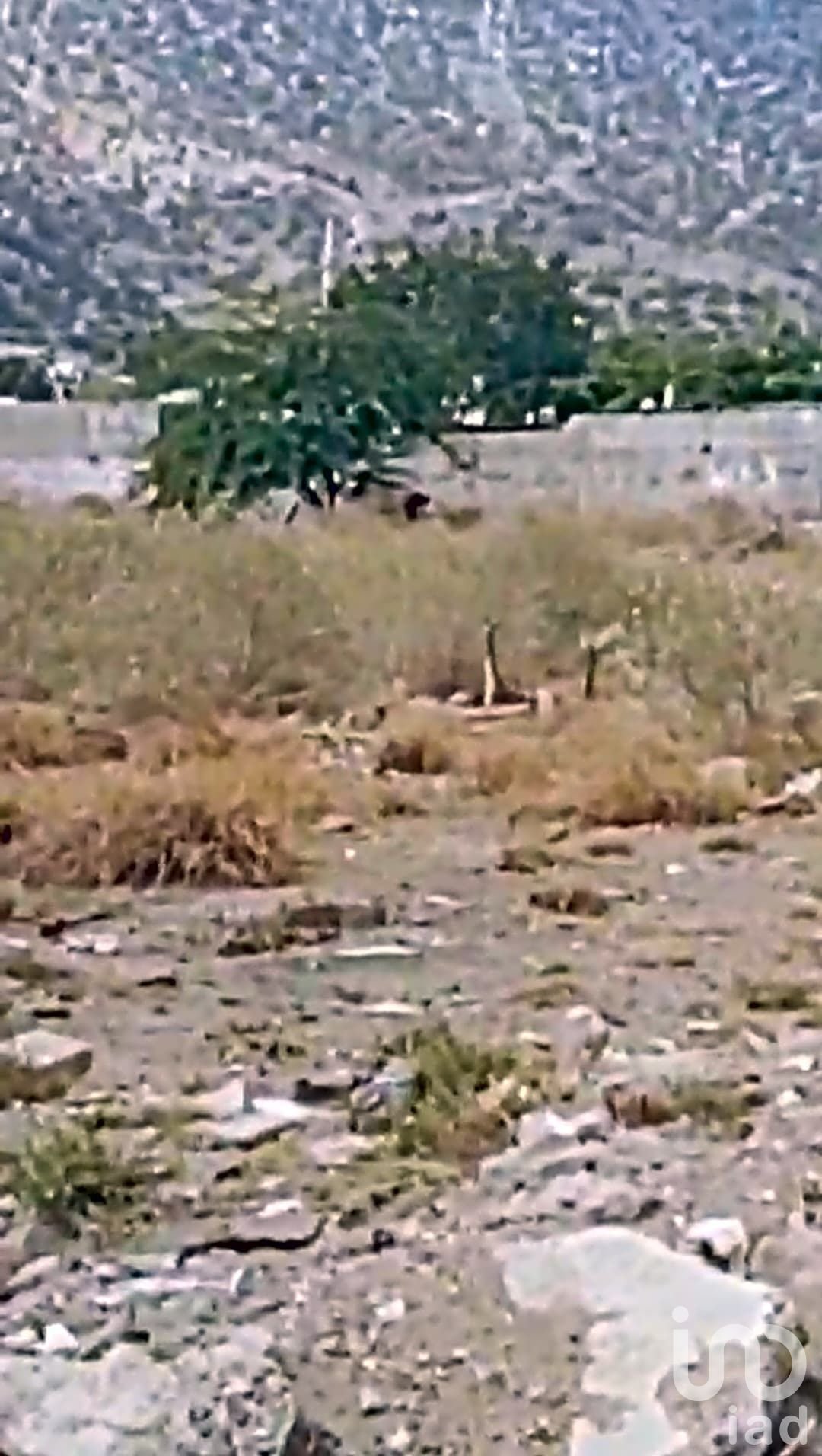 TERRENO DE USO MIXTO EN VENTA EN HERMOSILLO SONORA. ZONA DE ALTA PLUSVALÍA.