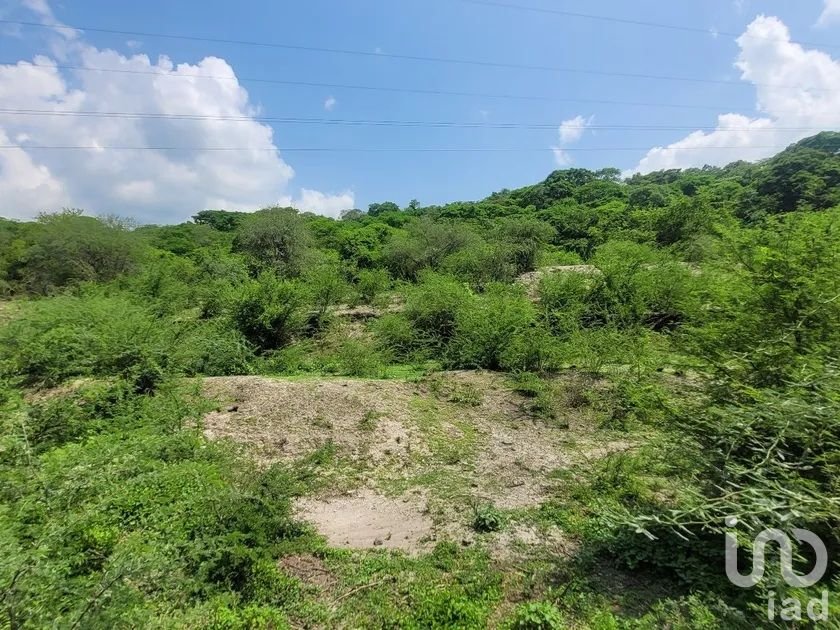 Terreno para Inversionistas, 100 Has, Estado de Morelos, Mexico