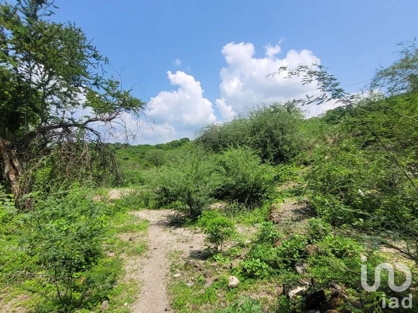 Terreno para Inversionistas, 100 Has, Estado de Morelos, Mexico