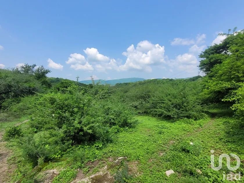 Terreno para Inversionistas, 100 Has, Estado de Morelos, Mexico