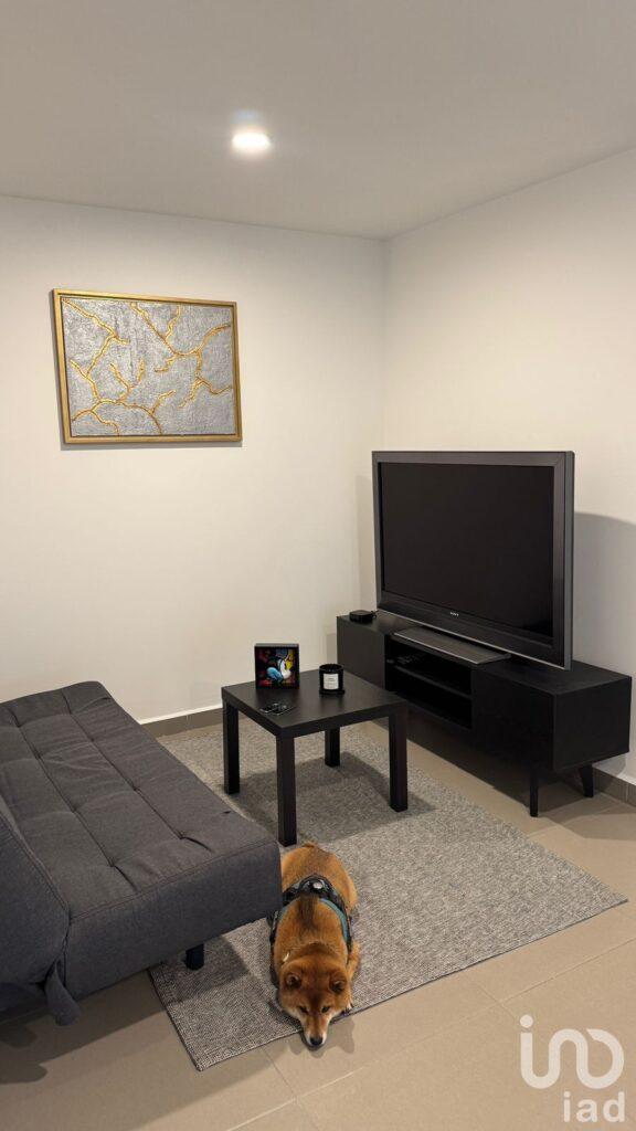 DEPARTAMENTO EN VENTA EN DR. OLVERA, COL, DOCTORES, ALCALDÌA CUAHUTEMOC