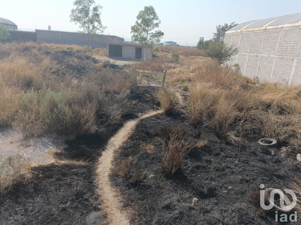 Terreno Industrial en Venta en El Castillo, Apaseo el Grande