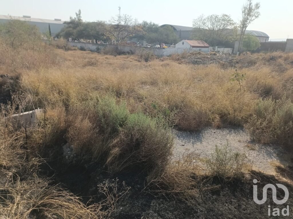 Terreno Industrial en Venta en El Castillo, Apaseo el Grande