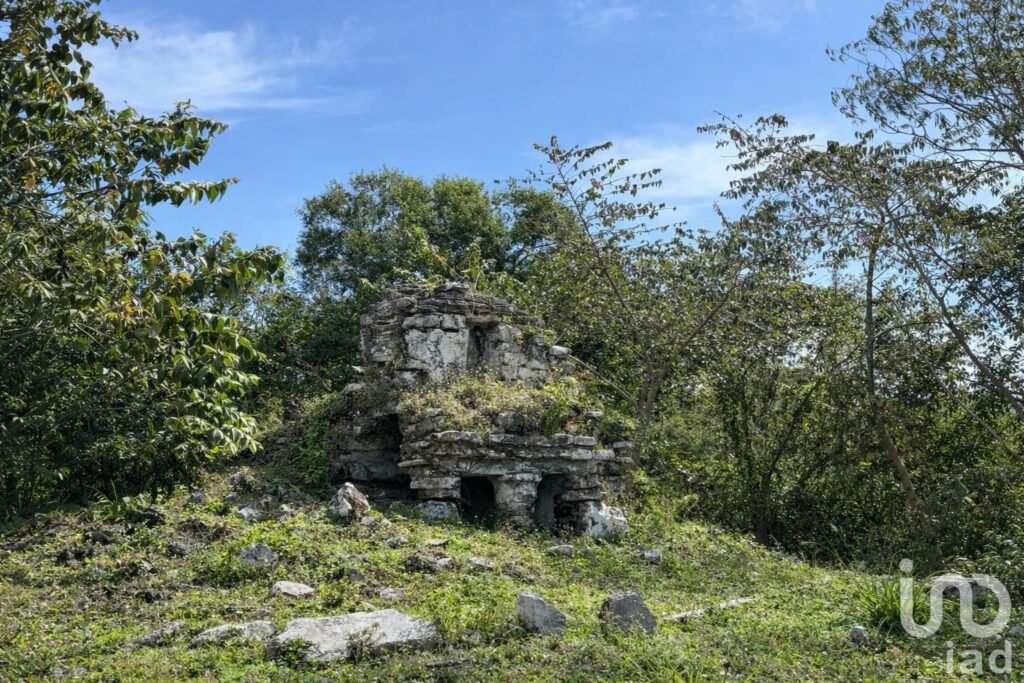 TERRENO PARA DESARROLLO HOTELERO-INMOBILIARIO EN LA RIVIERA MAYA.
