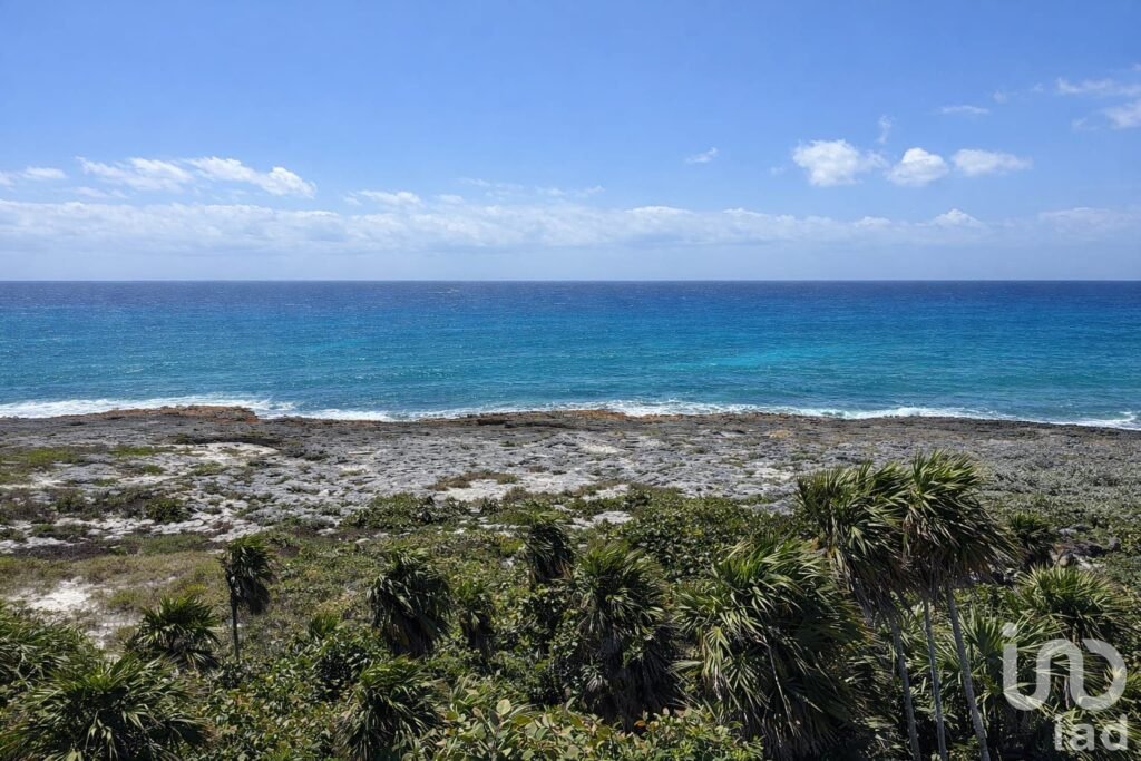 TERRENO PARA DESARROLLO HOTELERO-INMOBILIARIO EN LA RIVIERA MAYA.