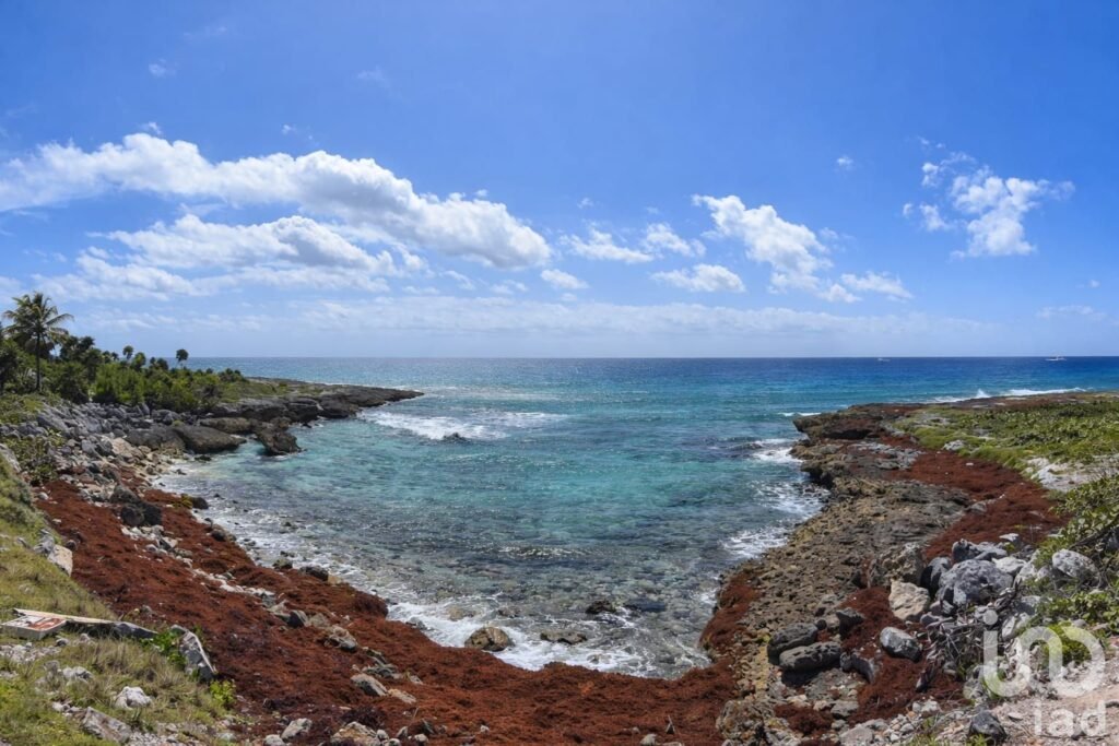 TERRENO PARA DESARROLLO HOTELERO-INMOBILIARIO EN LA RIVIERA MAYA.
