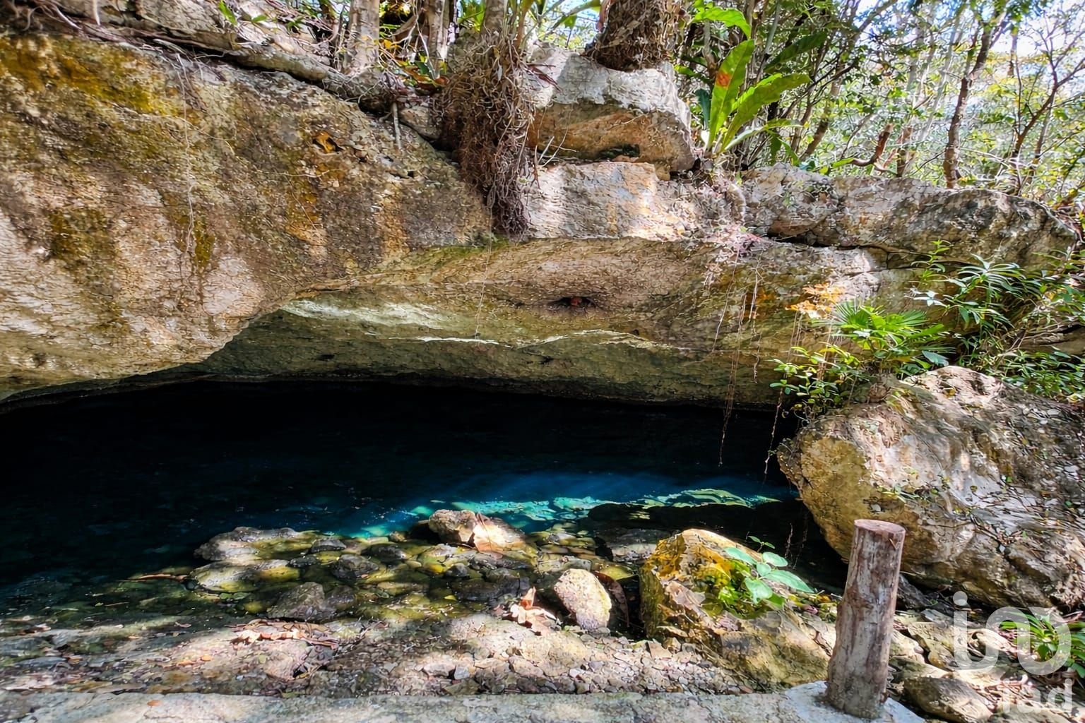 TERRENO PARA DESARROLLO HOTELERO-INMOBILIARIO EN LA RIVIERA MAYA.