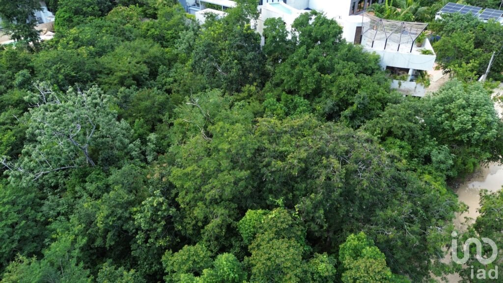 Terreno en venta en Tulum – Ubicación estratégica junto al Hotel Kan Tulum