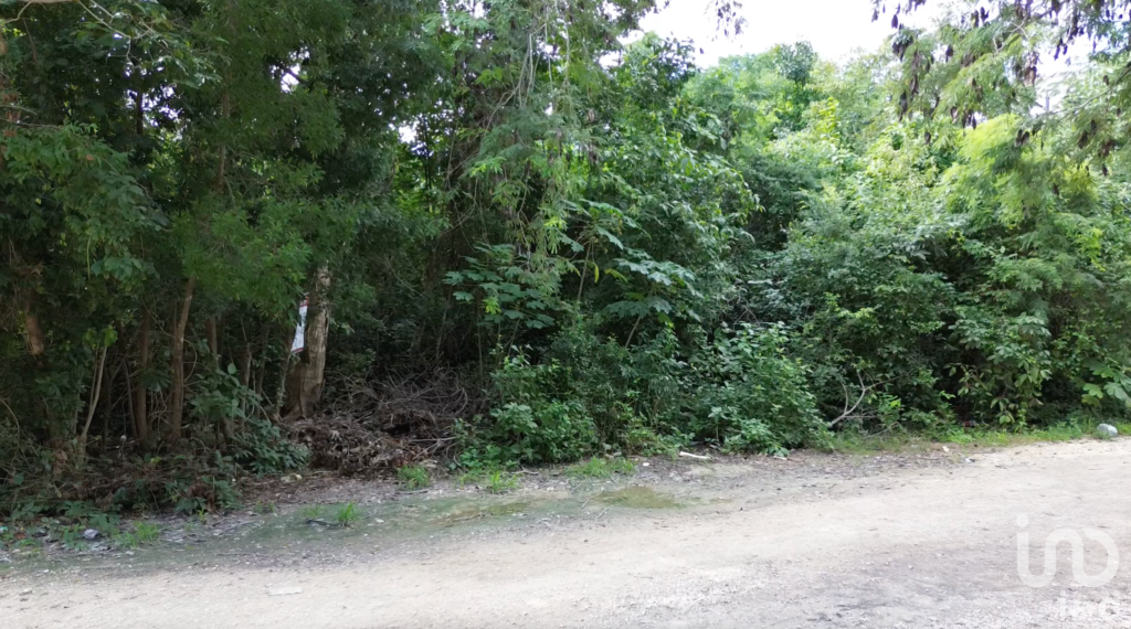 Terreno en venta en Tulum – Ubicación estratégica junto al Hotel Kan Tulum