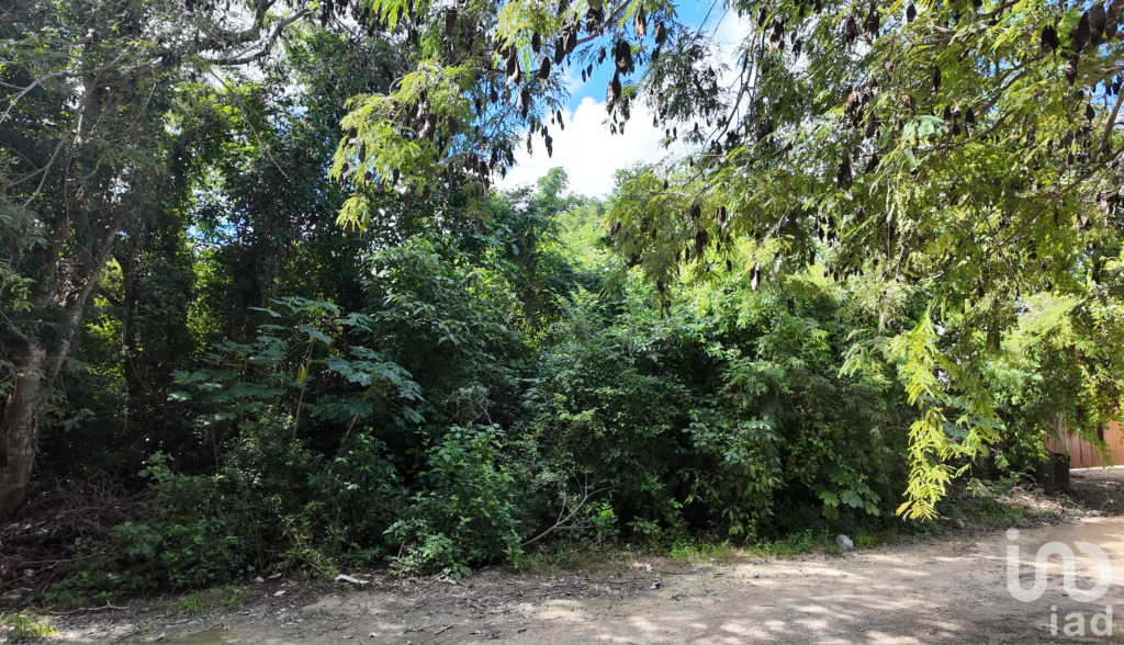 Terreno en venta en Tulum – Ubicación estratégica junto al Hotel Kan Tulum