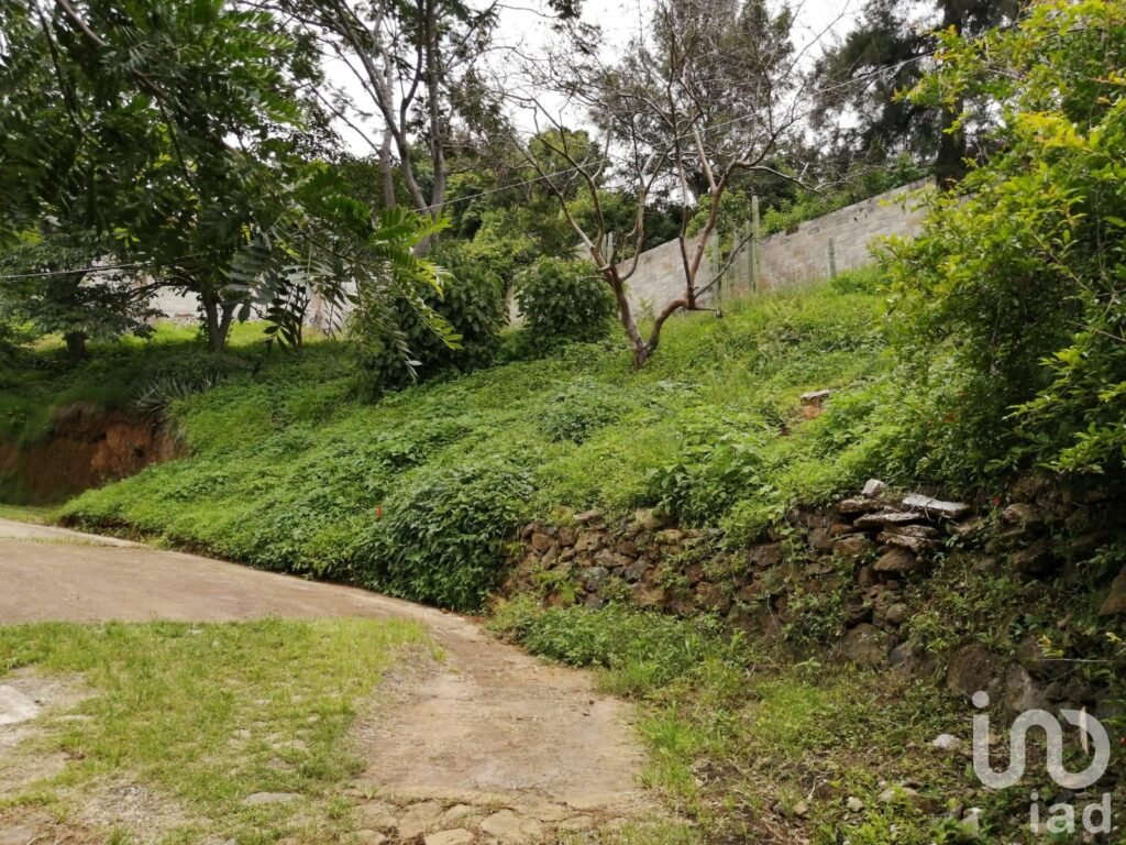 Terreno Panoramico. Tlayacapan. Morelos.