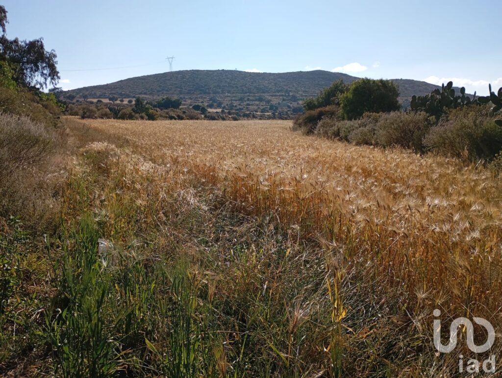 Venta de terreno, depósito de agua y servicio de electricidad a unos metros en San Juan Tizahuapan