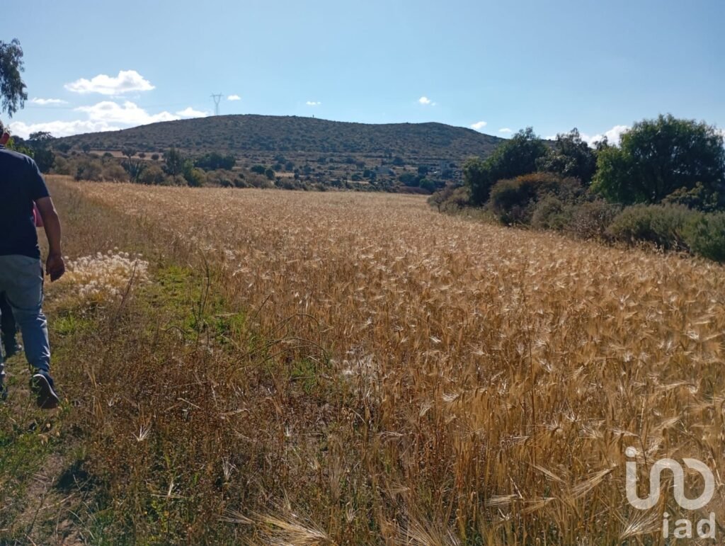 Venta de terreno, depósito de agua y servicio de electricidad a unos metros en San Juan Tizahuapan