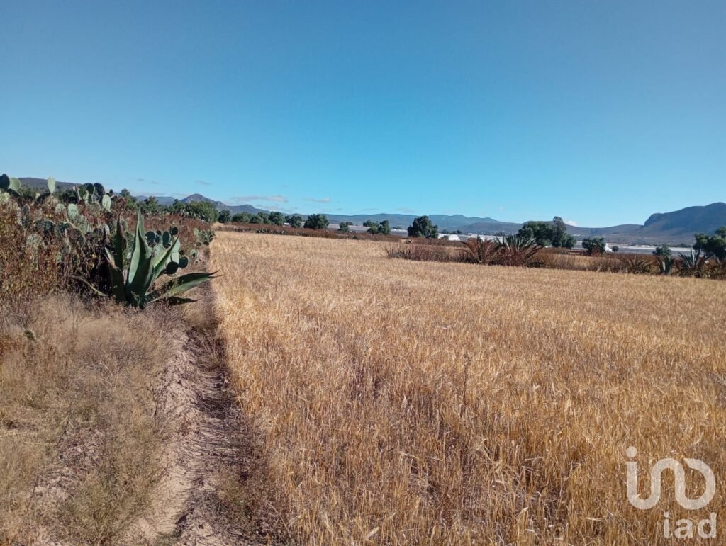 Terreno en Venta, por la  Universidad Politecnica de Pachuca, ejido San Francisco Epazoyucan