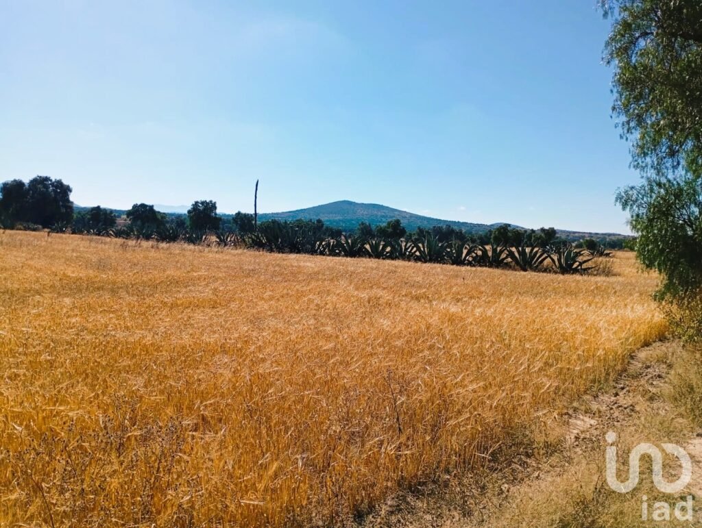 Terreno en Venta, por la  Universidad Politecnica de Pachuca, ejido San Francisco Epazoyucan