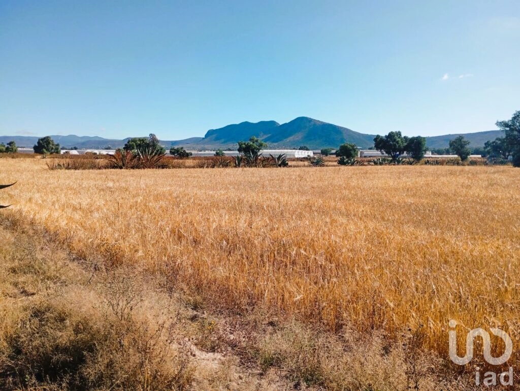 Terreno en Venta, por la  Universidad Politecnica de Pachuca, ejido San Francisco Epazoyucan