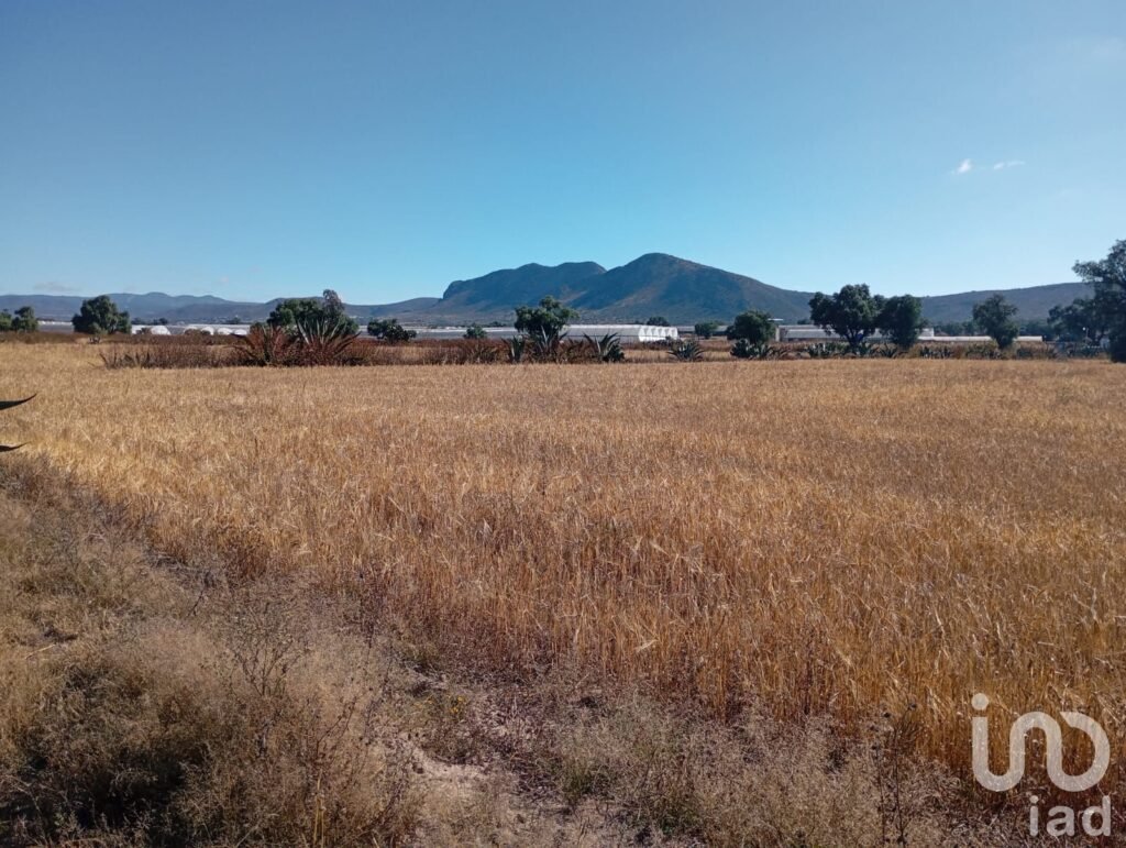 Terreno en Venta, por la  Universidad Politecnica de Pachuca, ejido San Francisco Epazoyucan