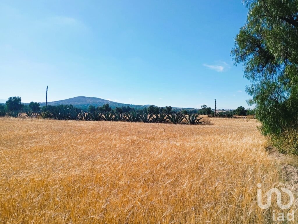 Terreno en Venta, por la  Universidad Politecnica de Pachuca, ejido San Francisco Epazoyucan