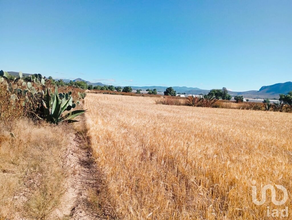 Terreno en Venta, por la  Universidad Politecnica de Pachuca, ejido San Francisco Epazoyucan