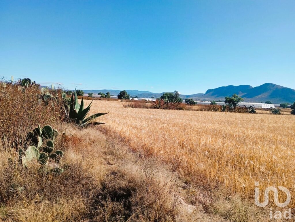 Terreno en Venta, por la  Universidad Politecnica de Pachuca, ejido San Francisco Epazoyucan