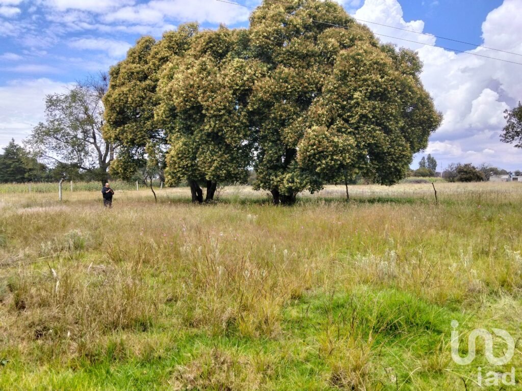 Amplio terreno campestre en venta San Dionisio Yauhquemehcan