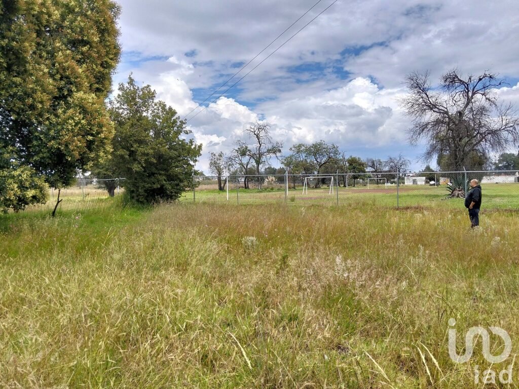 Amplio terreno campestre en venta San Dionisio Yauhquemehcan