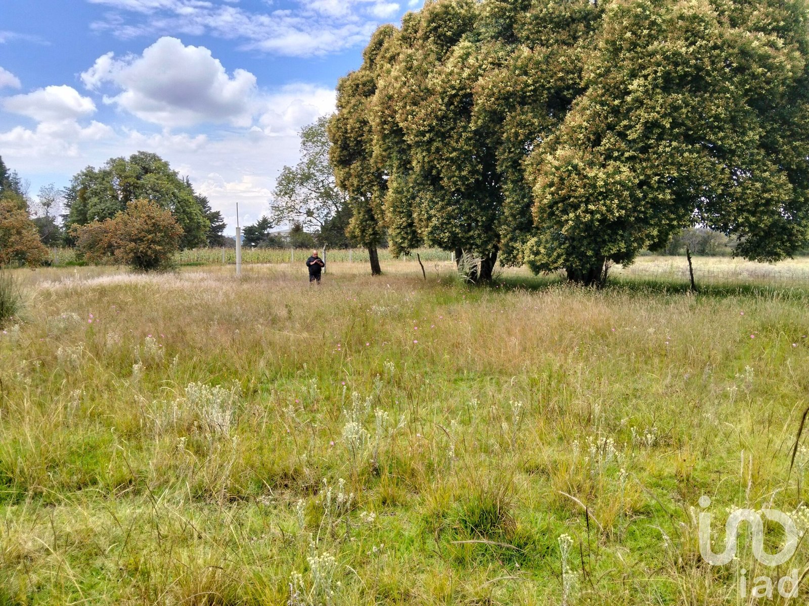 Amplio terreno campestre en venta San Dionisio Yauhquemehcan