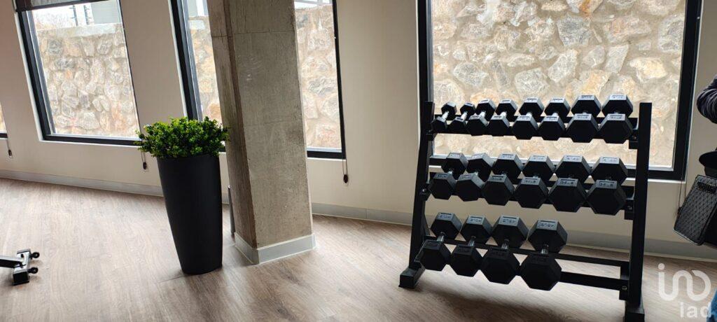 Departamentos en Renta, a 2 min del Consulado