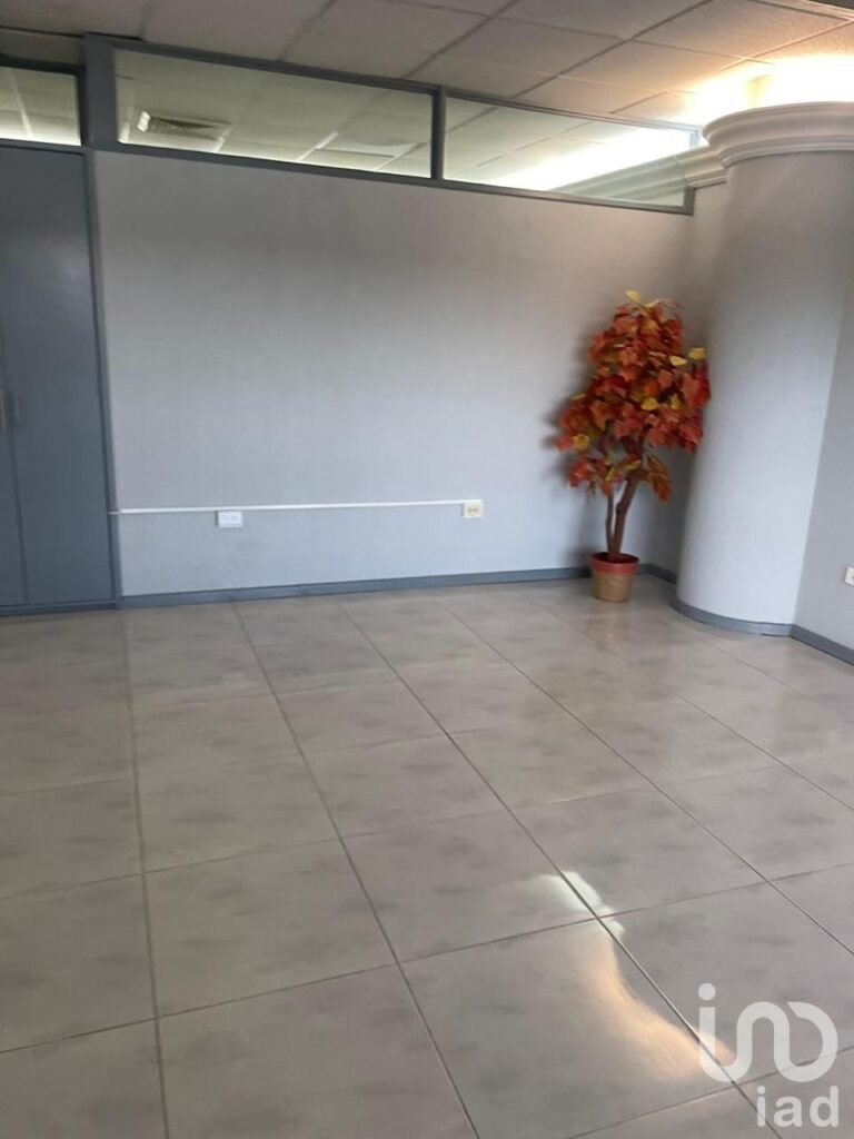 OFICINA EN VENTA EN TORRE PLAZA BOSQUES, AGUASCALIENTES