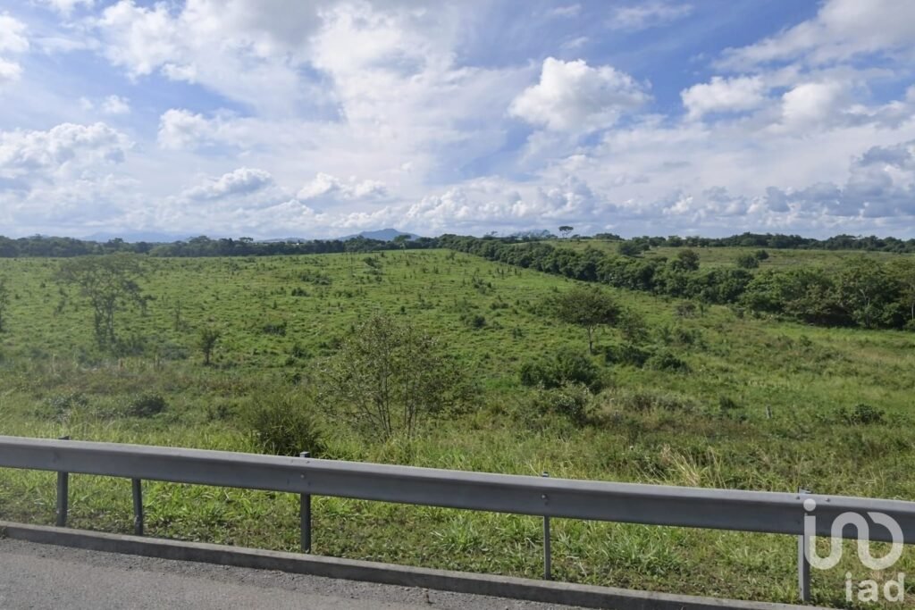 EN VENTA TERRENO AGRÍCOLA O GANADERO EN TUXPAN.