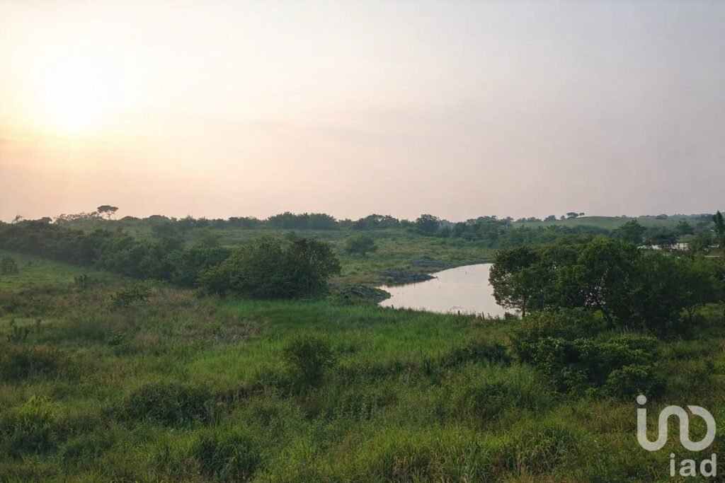EN VENTA TERRENO AGRÍCOLA O GANADERO EN TUXPAN.