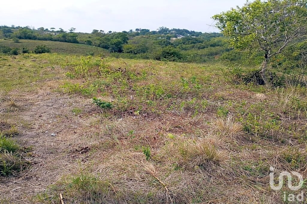 EN VENTA TERRENO AGRÍCOLA O GANADERO EN TUXPAN.