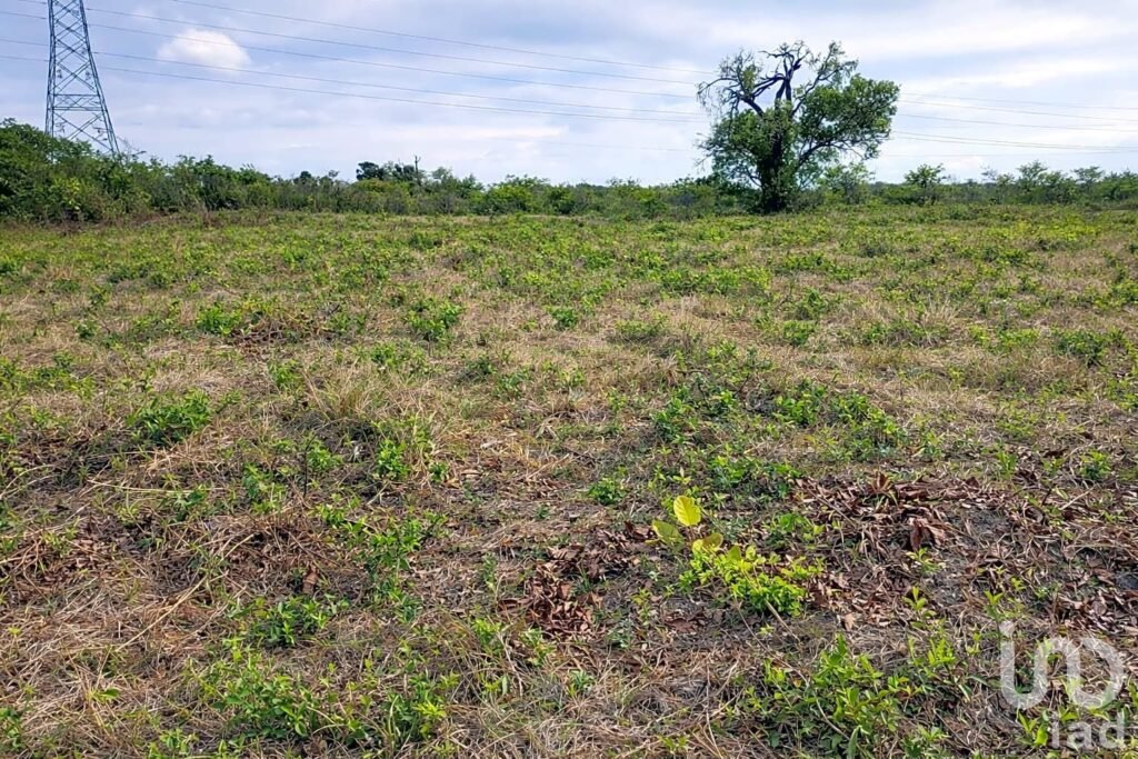 EN VENTA TERRENO AGRÍCOLA O GANADERO EN TUXPAN.