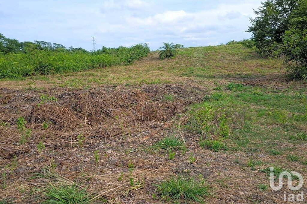 EN VENTA TERRENO AGRÍCOLA O GANADERO EN TUXPAN.