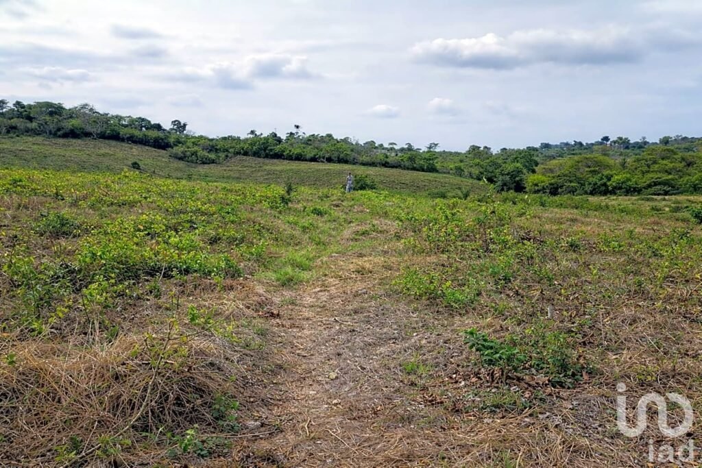 EN VENTA TERRENO AGRÍCOLA O GANADERO EN TUXPAN.
