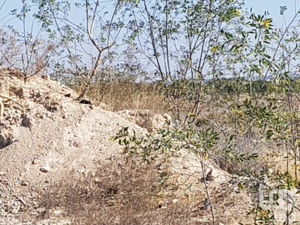 Venta de Terreno sobre Blvd Aeropuerto a un Lado de Compas en Aguascalientes