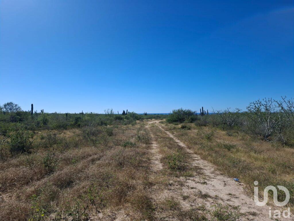 TERRENO RÚSTICO CAMPESTRE 10,000M2 EN AGUA BLANCA LA PAZ BAJA CALIFORNIA SUR