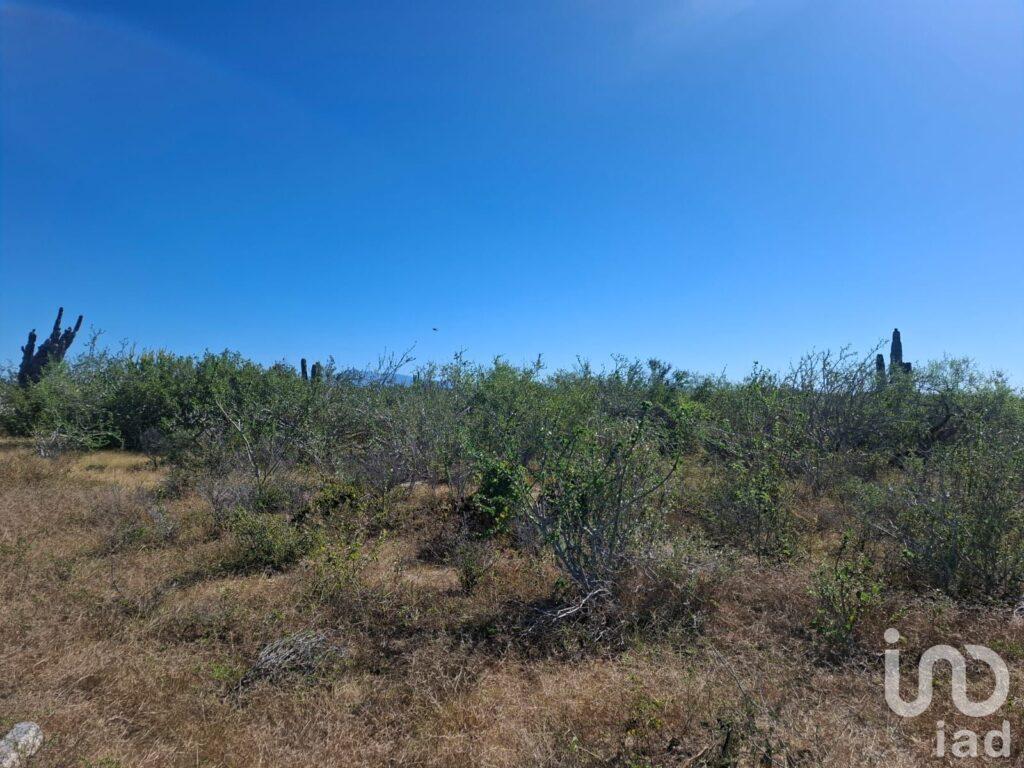TERRENO RÚSTICO CAMPESTRE 10,000M2 EN AGUA BLANCA LA PAZ BAJA CALIFORNIA SUR