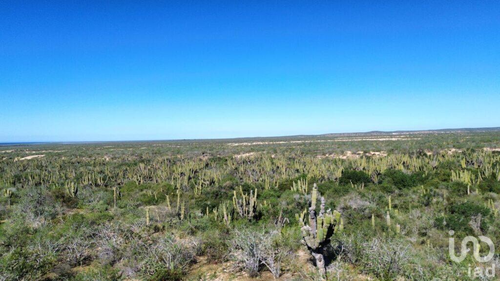 TERRENO RÚSTICO CAMPESTRE 10,000M2 EN AGUA BLANCA LA PAZ BAJA CALIFORNIA SUR