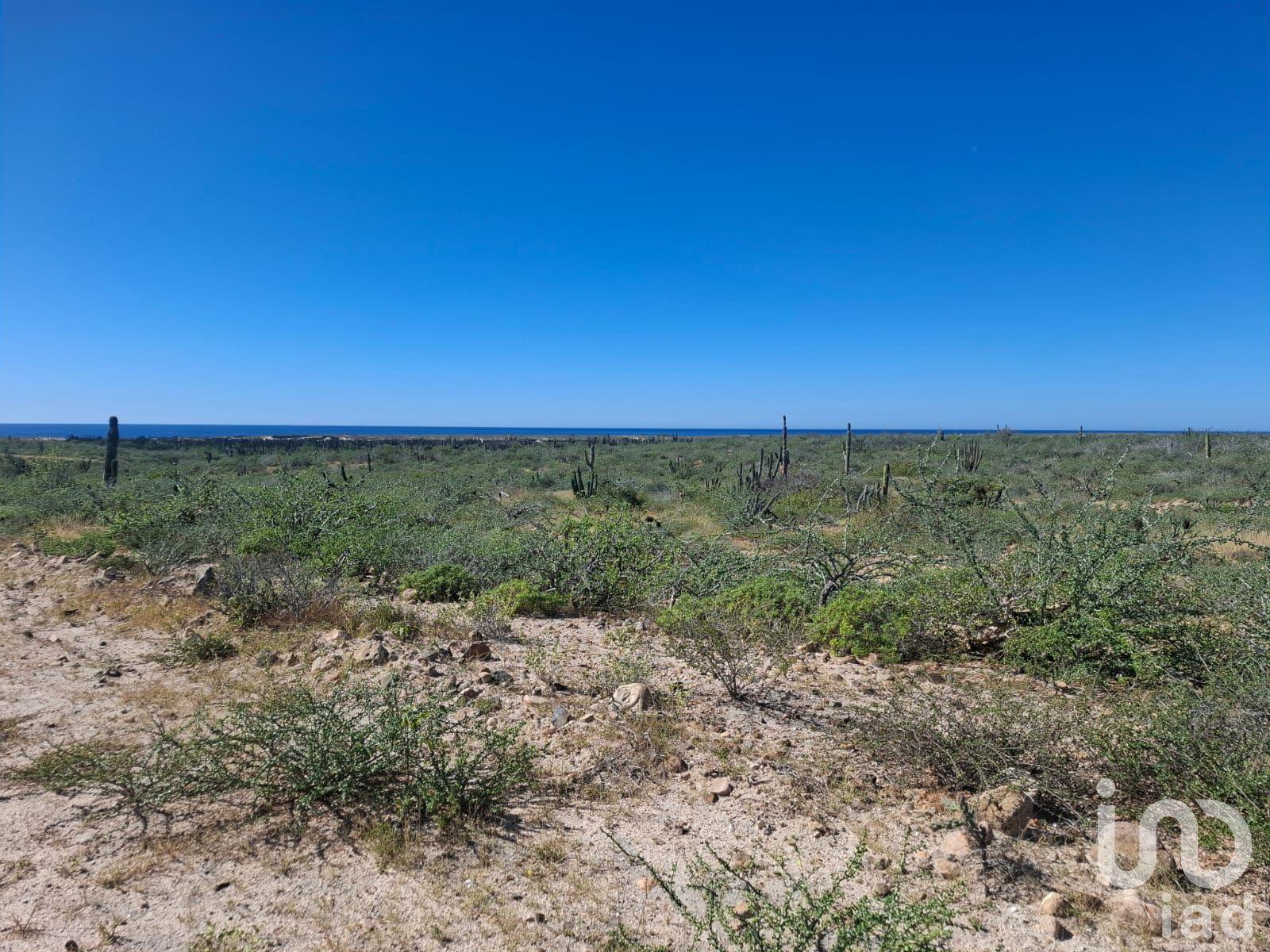 TERRENO RÚSTICO CAMPESTRE 10,000M2 EN AGUA BLANCA LA PAZ BAJA CALIFORNIA SUR TERRENO RÚSTICO CAMPESTRE 10,000M2 EN AGUA BLANCA LA PAZ BAJA CALIFORNIA SUR