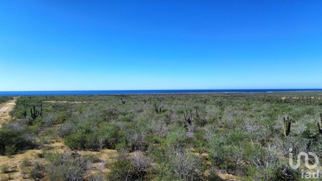 Terreno Rústico Campestre 5,000 m² en Agua Blanca La Paz Baja California Sur