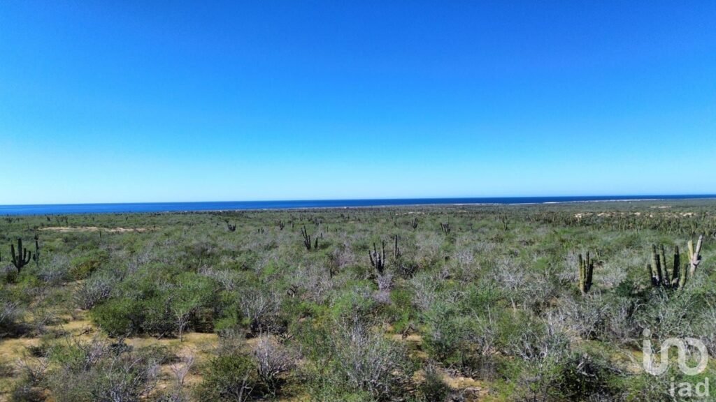 Terreno Rústico Campestre 5,000 m² en Agua Blanca La Paz Baja California Sur