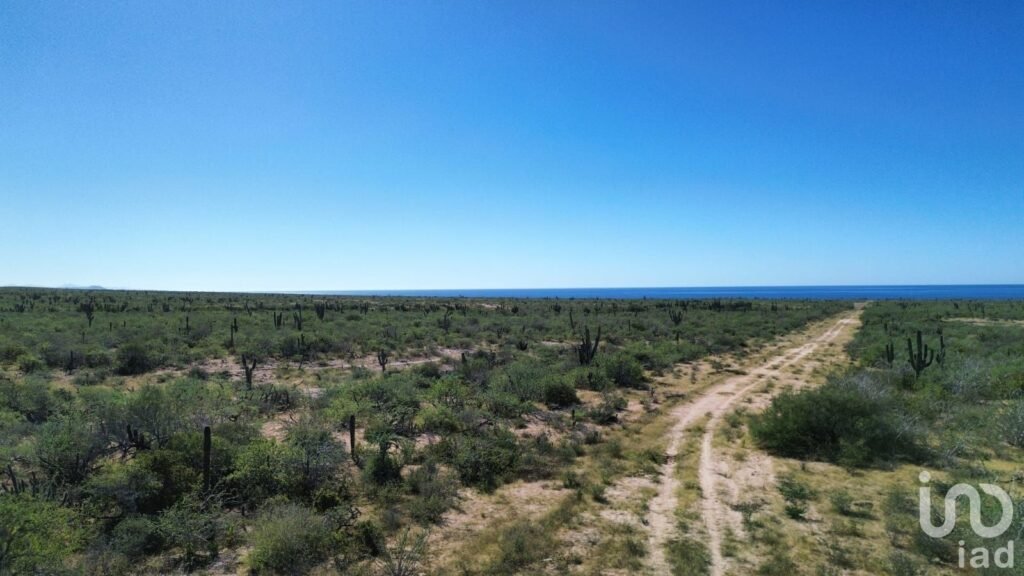 Terreno Rústico Campestre 5,000 m² en Agua Blanca La Paz Baja California Sur