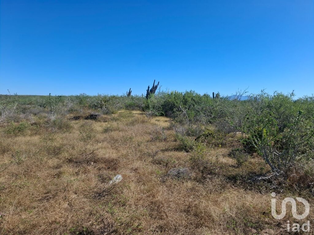 Terreno Rústico Campestre 5,000 m² en Agua Blanca La Paz Baja California Sur