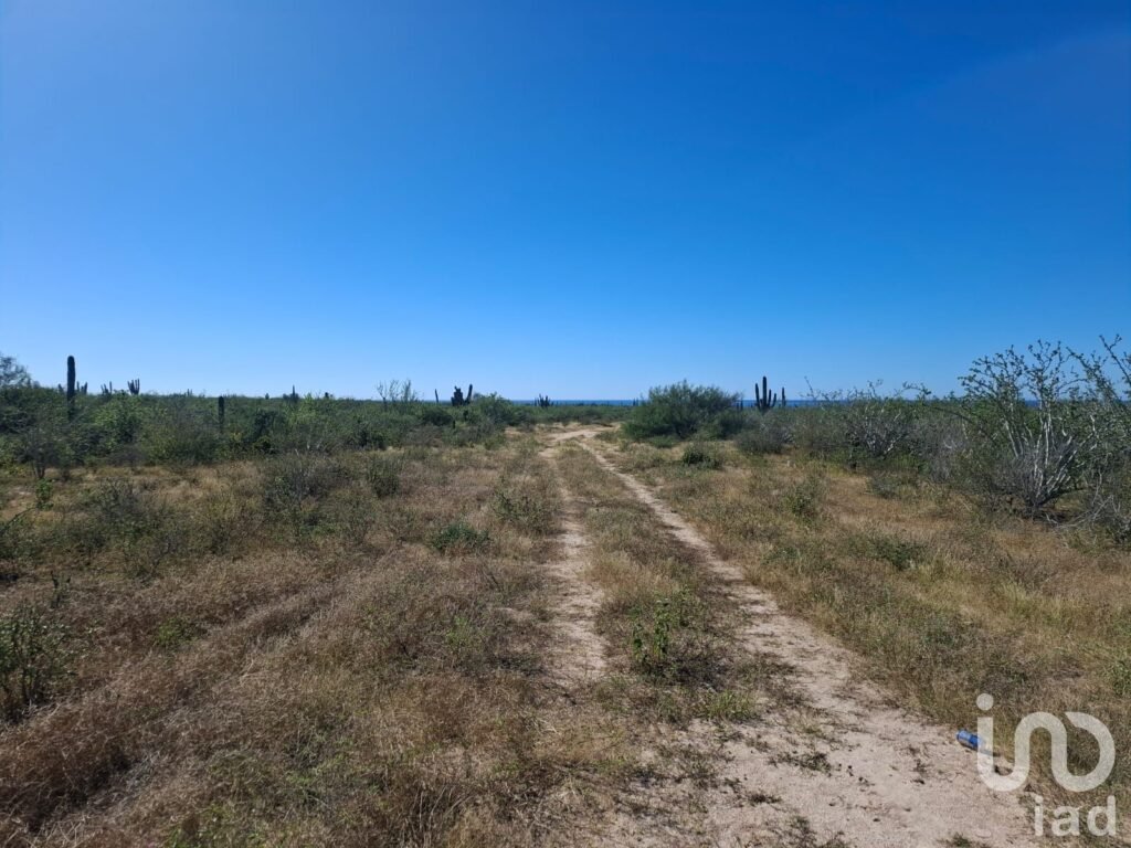 Terreno Rústico Campestre 5,000 m² en Agua Blanca La Paz Baja California Sur
